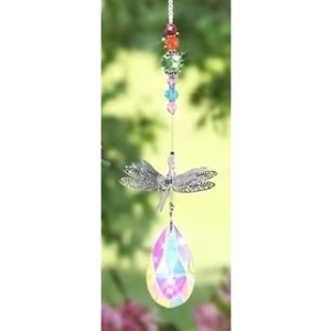 The Rainbow Dragonfly Dream